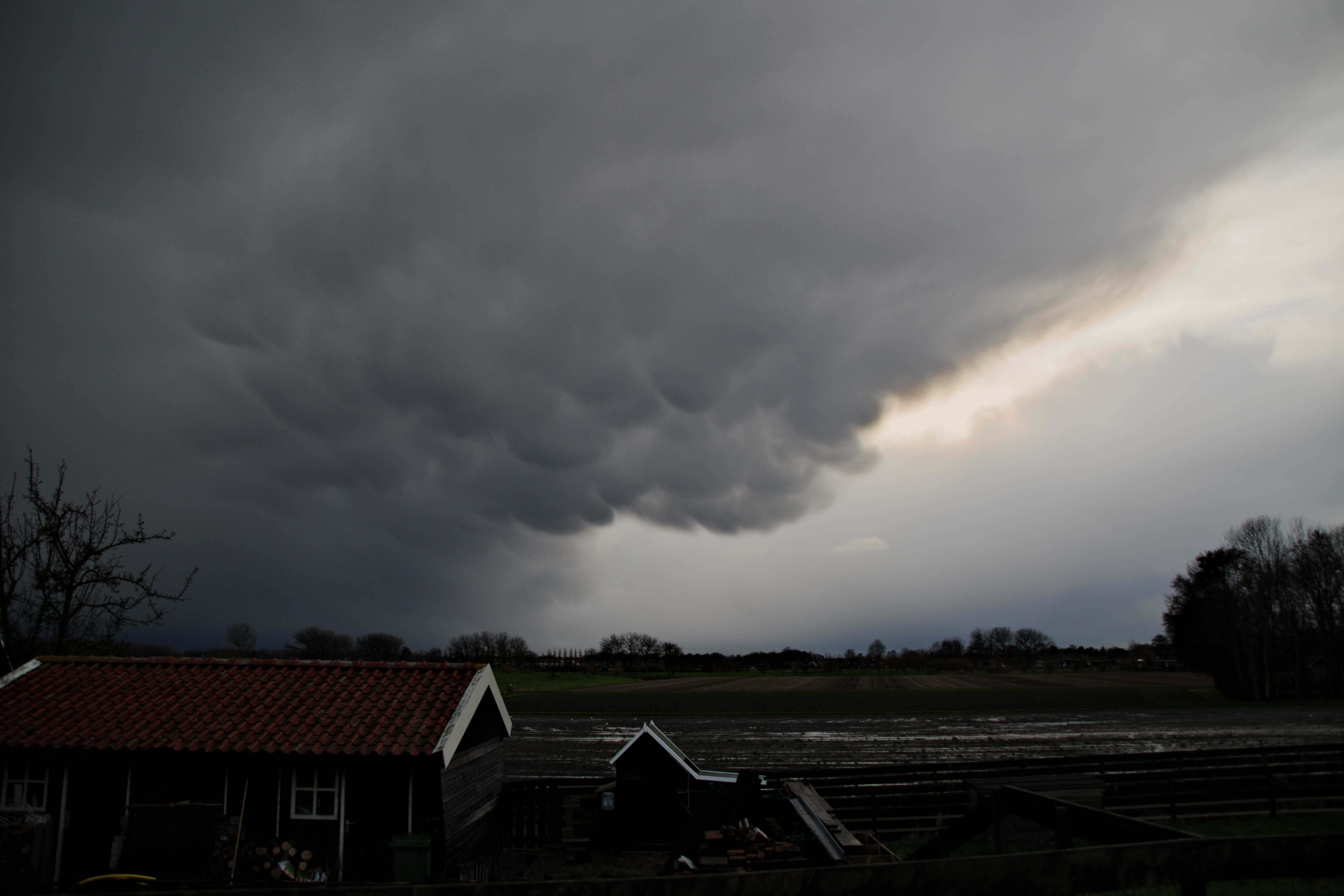 Mammatus
