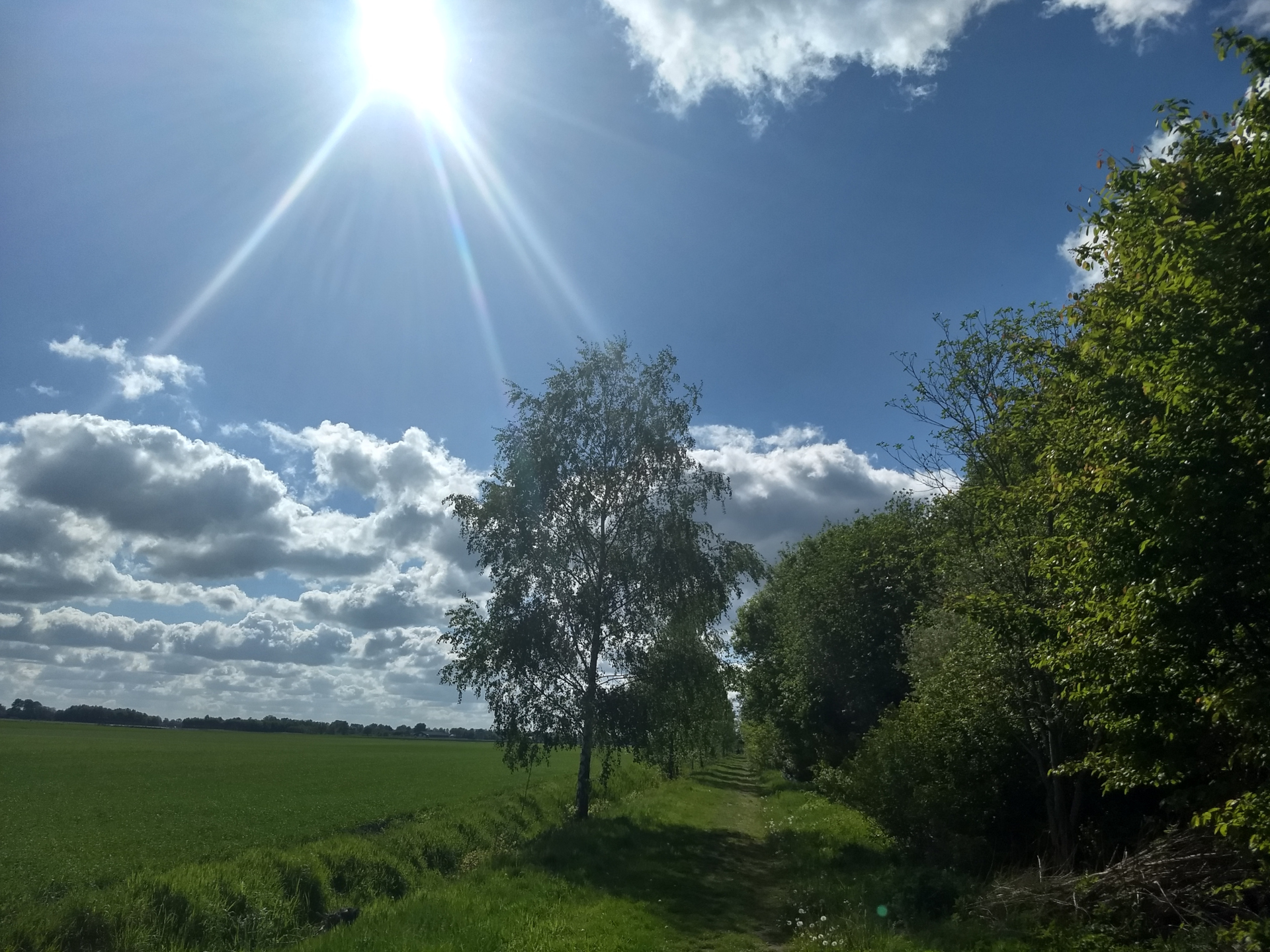 zonnig
