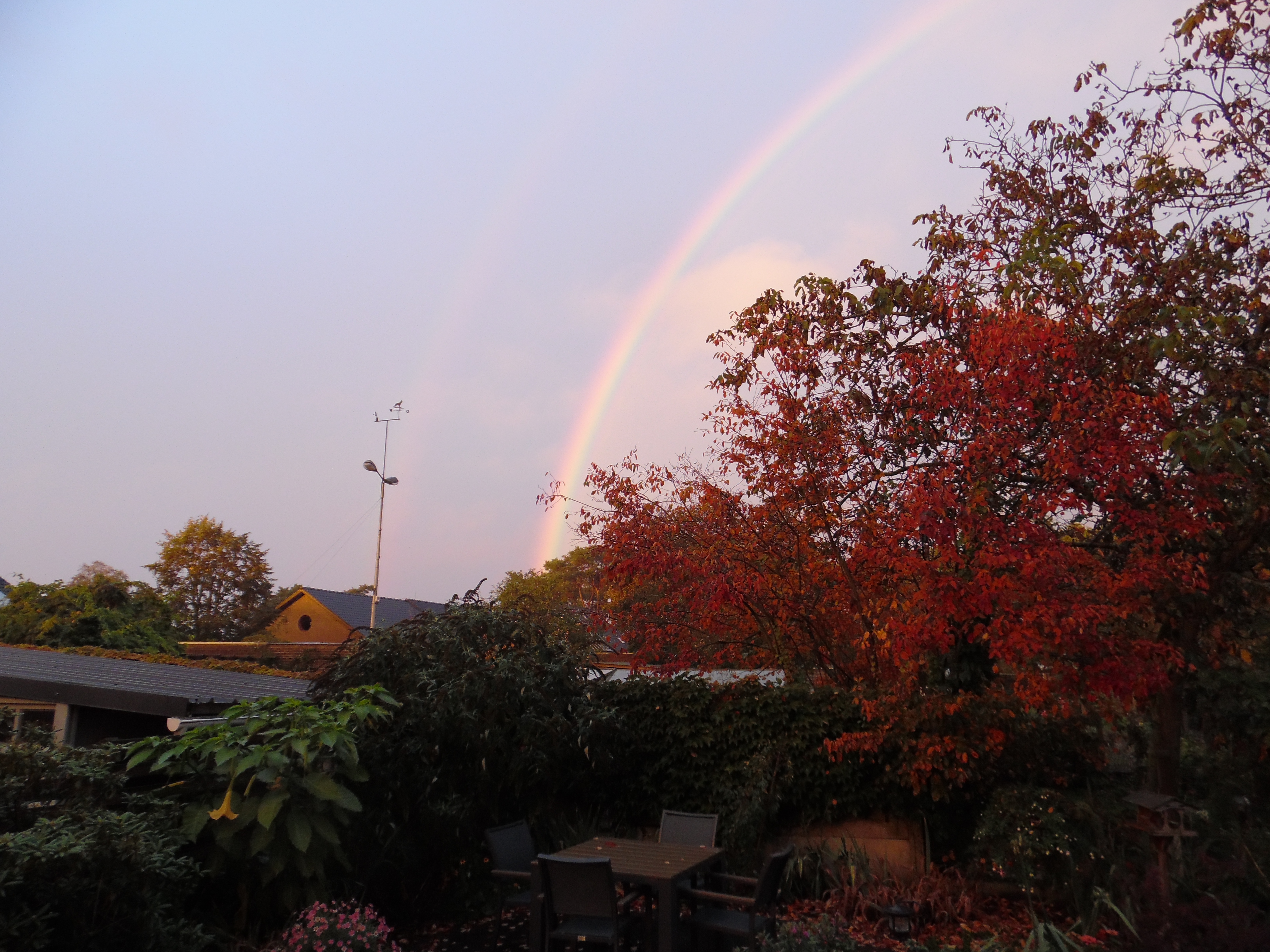 Mooie herfstcompositie