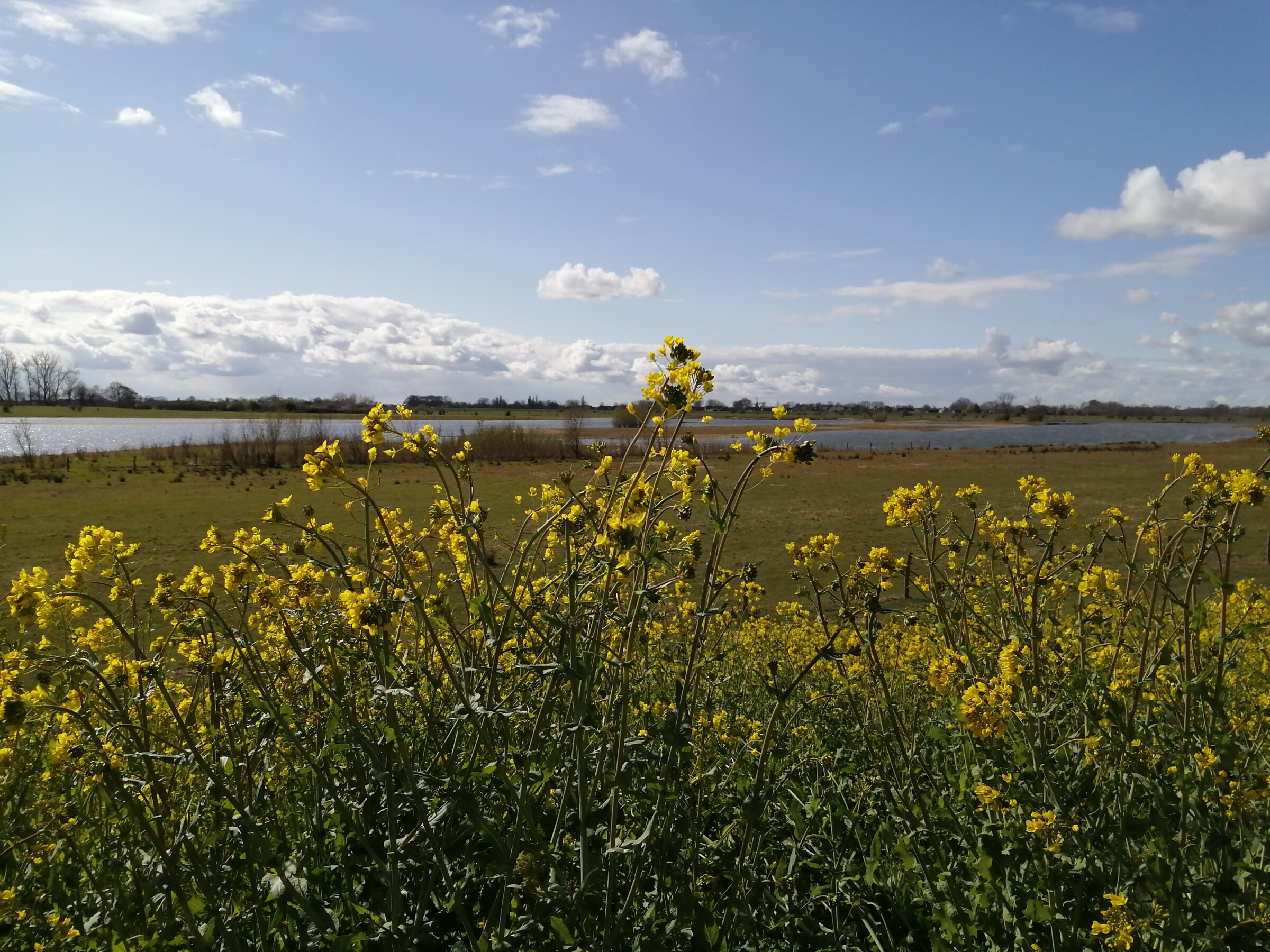 Weerwoord | Re: Best een mooie dag vandaag!