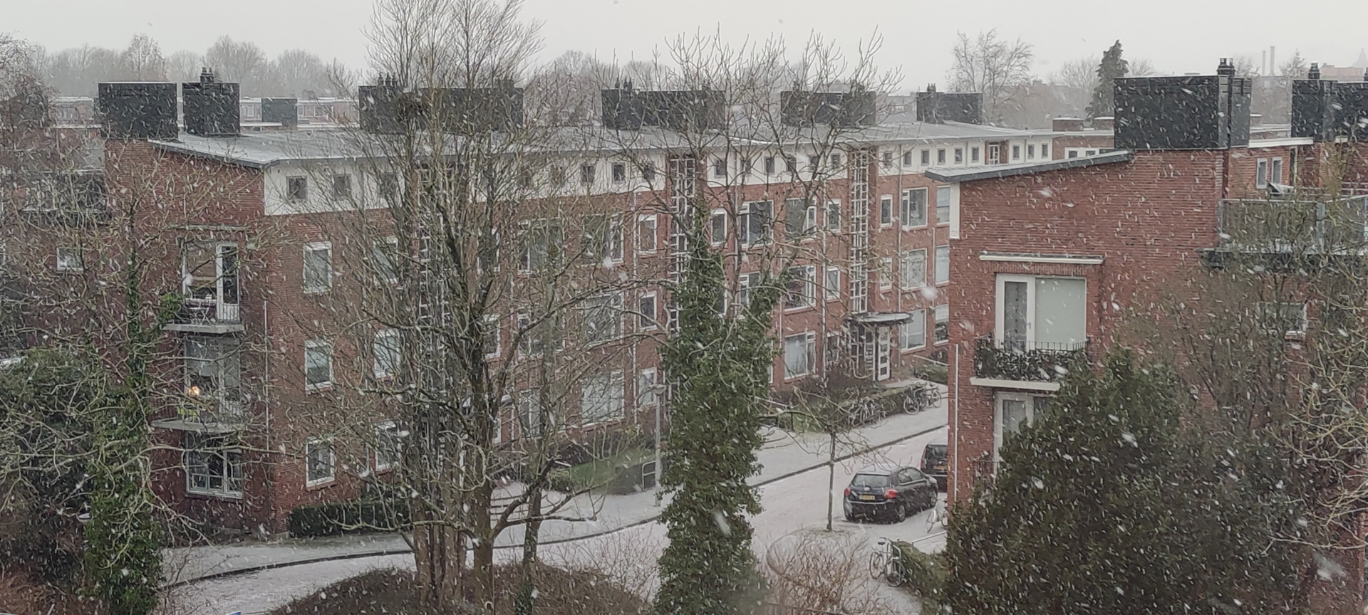 sneeuwbui