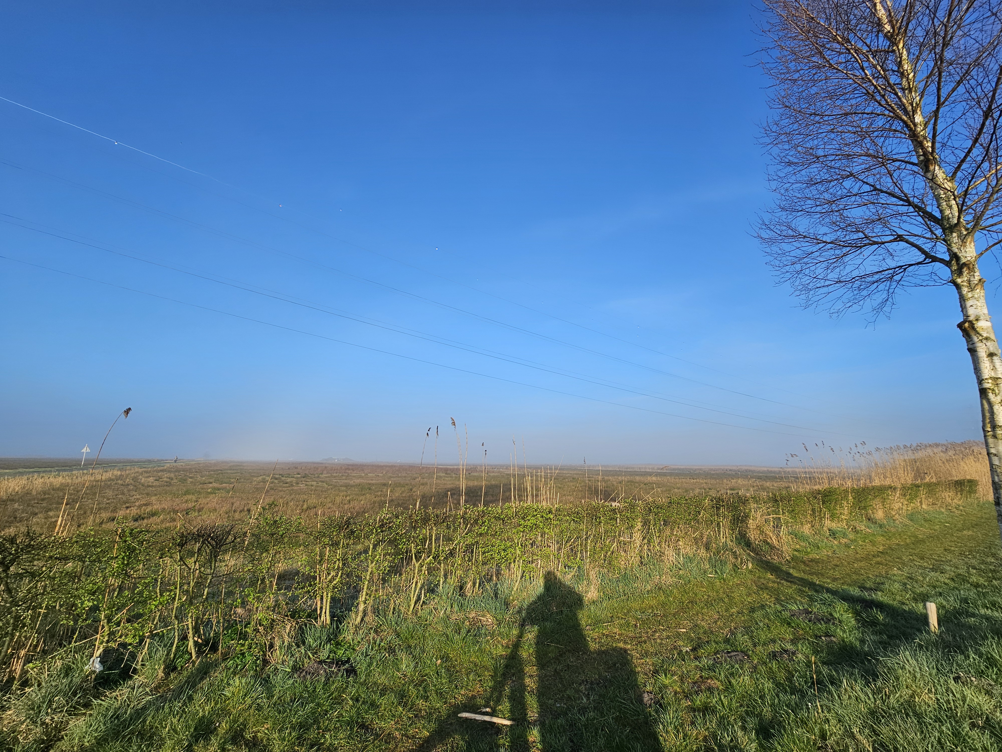 Mistboog Wageningen binnenveld 2