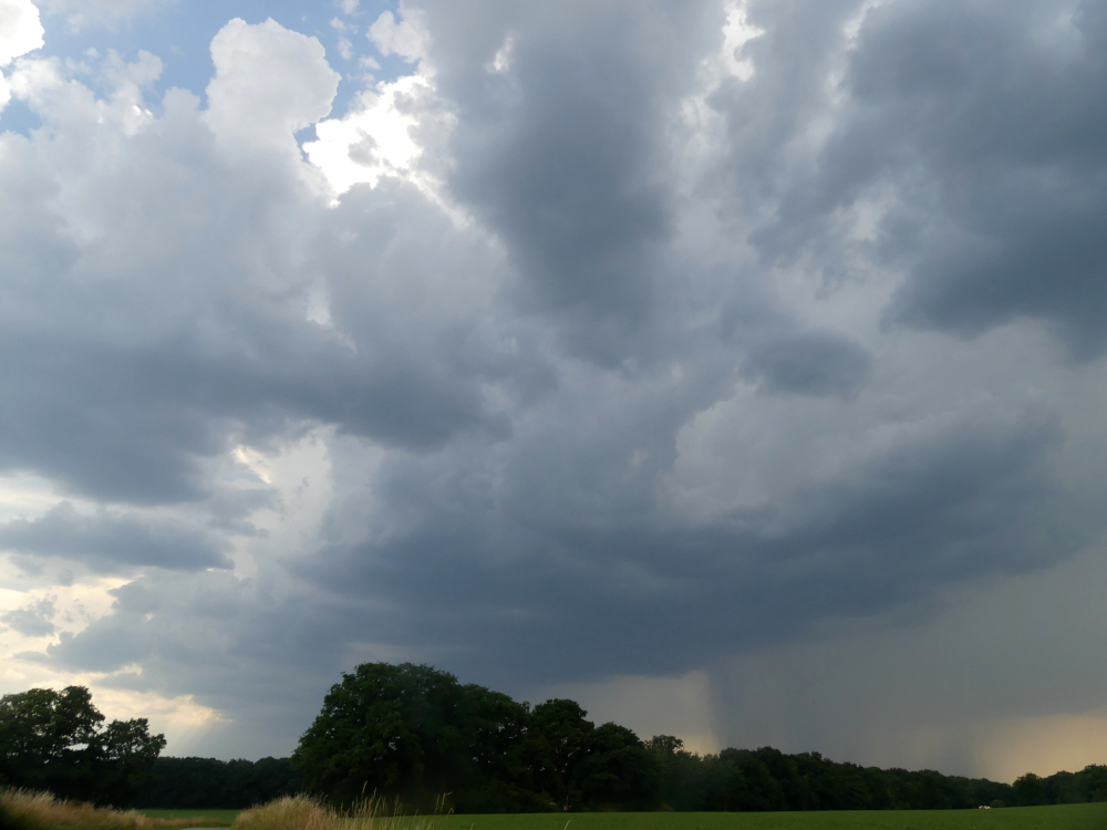 Eerste bui in ontwikkeling