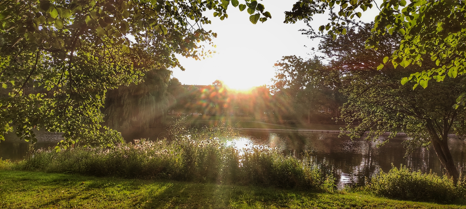 Glimp zon voor de regen