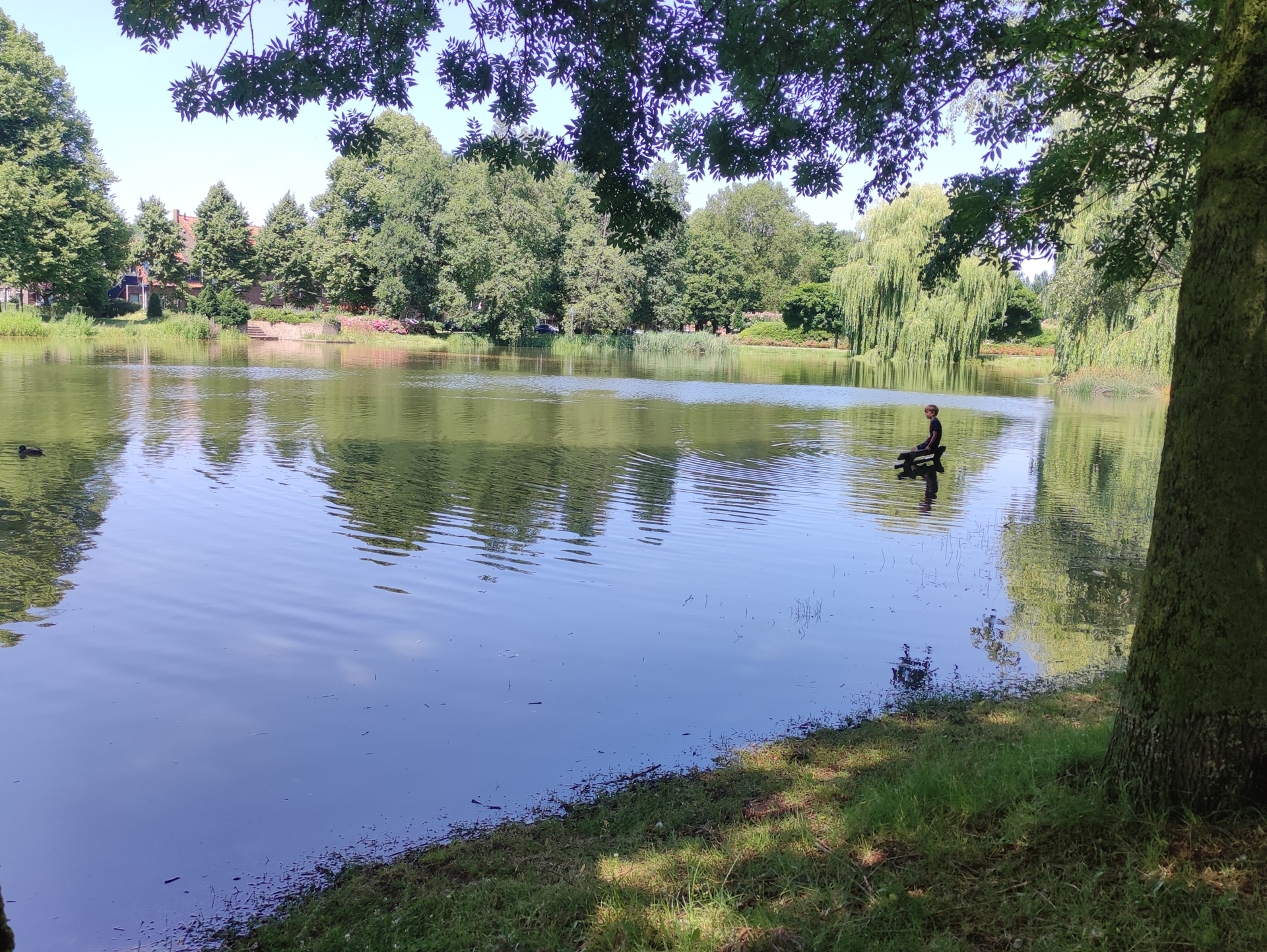 Vijver wadi regen