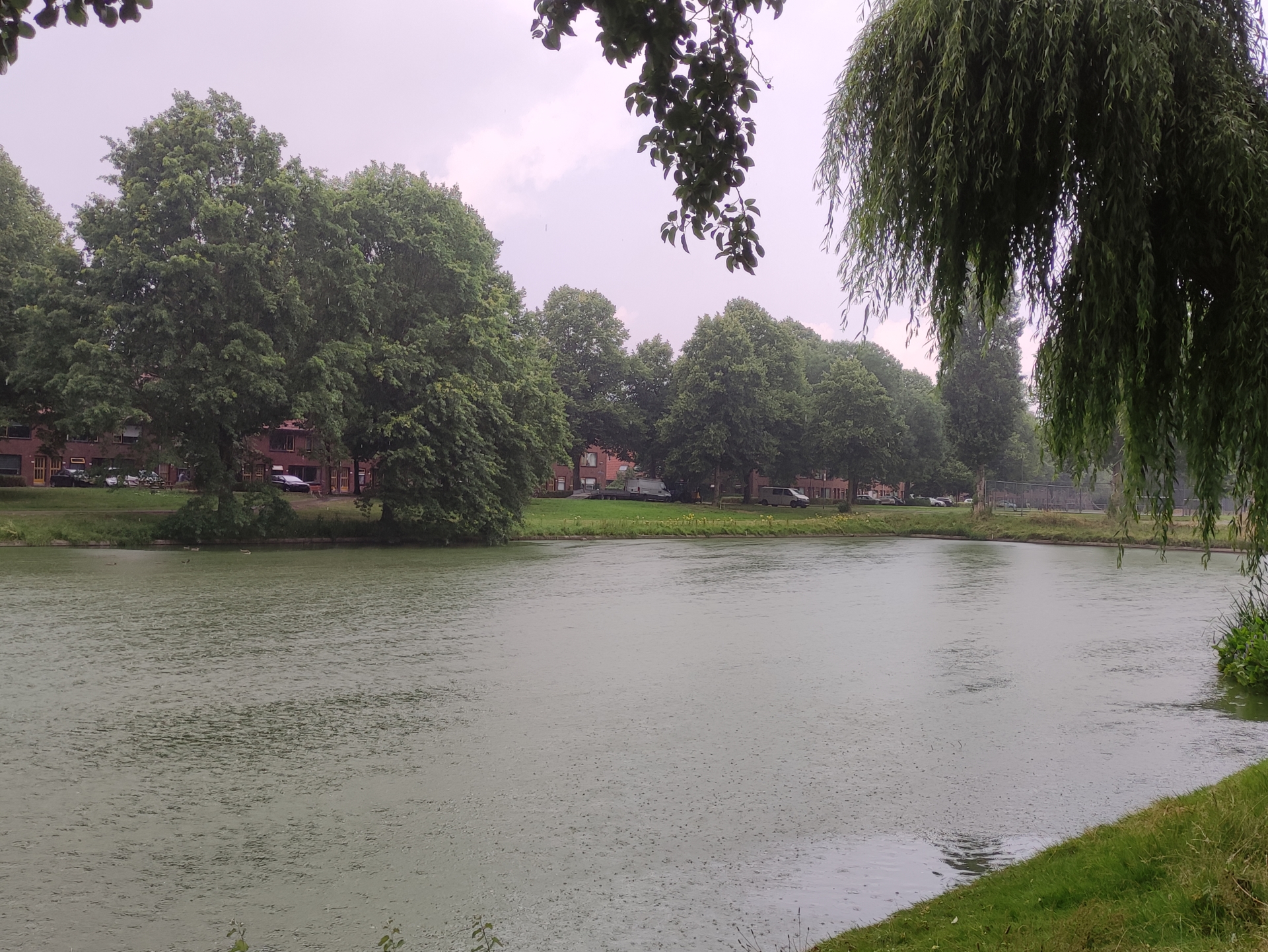 Regenbui
