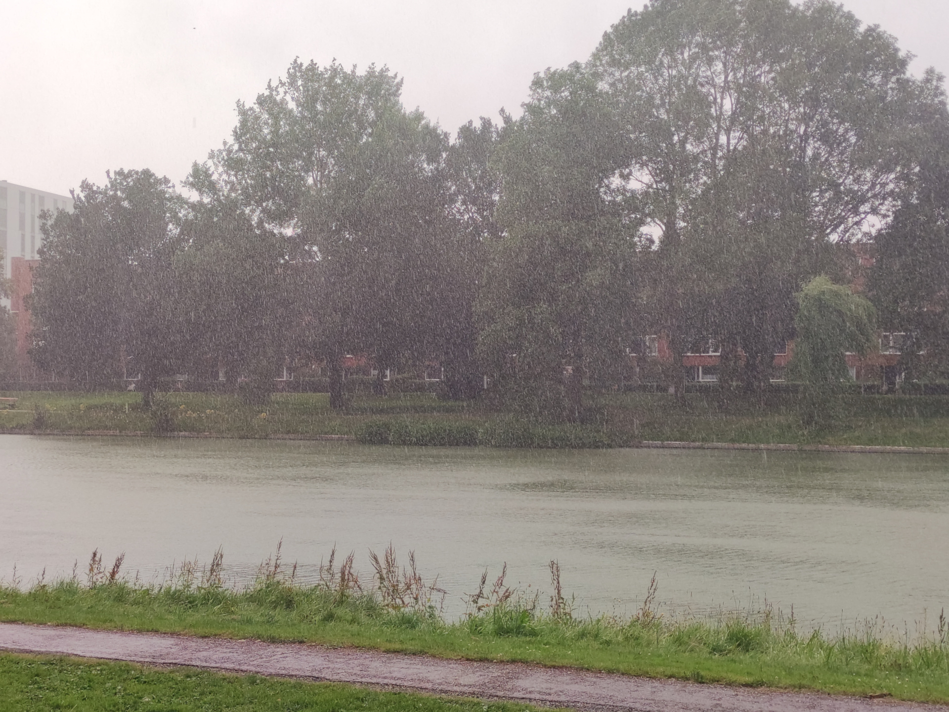 regen